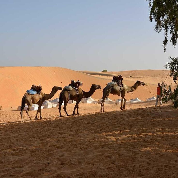 Lompoul : à quoi ressemble vraiment une nuit dans les dunes